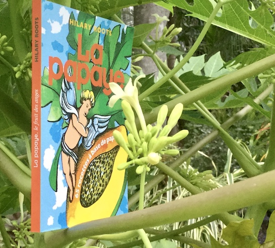 Hilary Roots Livre : La papaye